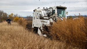 Shadow Demining Market Emerges in Ukraine as Landowners Bypass Official Channels